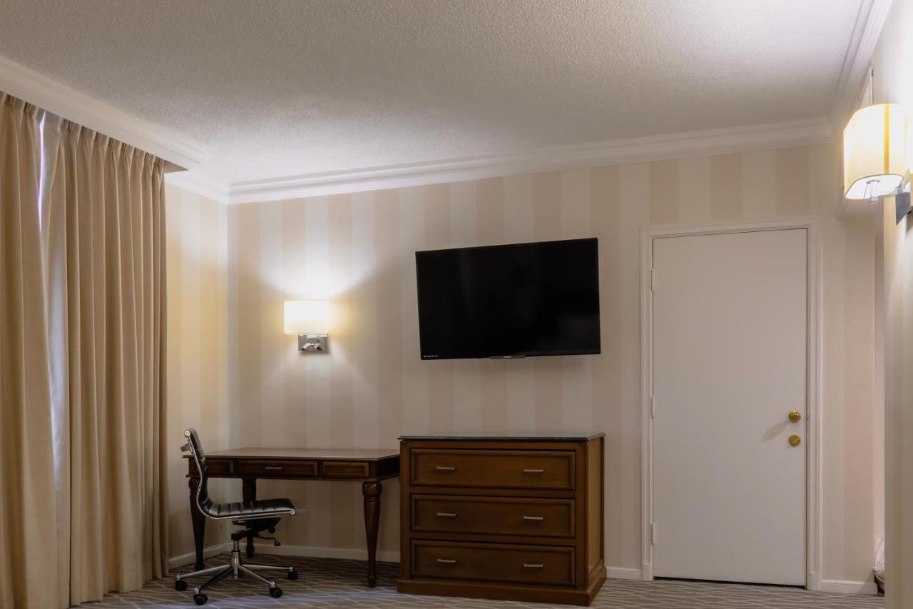Habitación Executive con cama extragrande