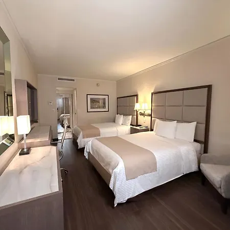 Safi Royal Luxury Centro-2